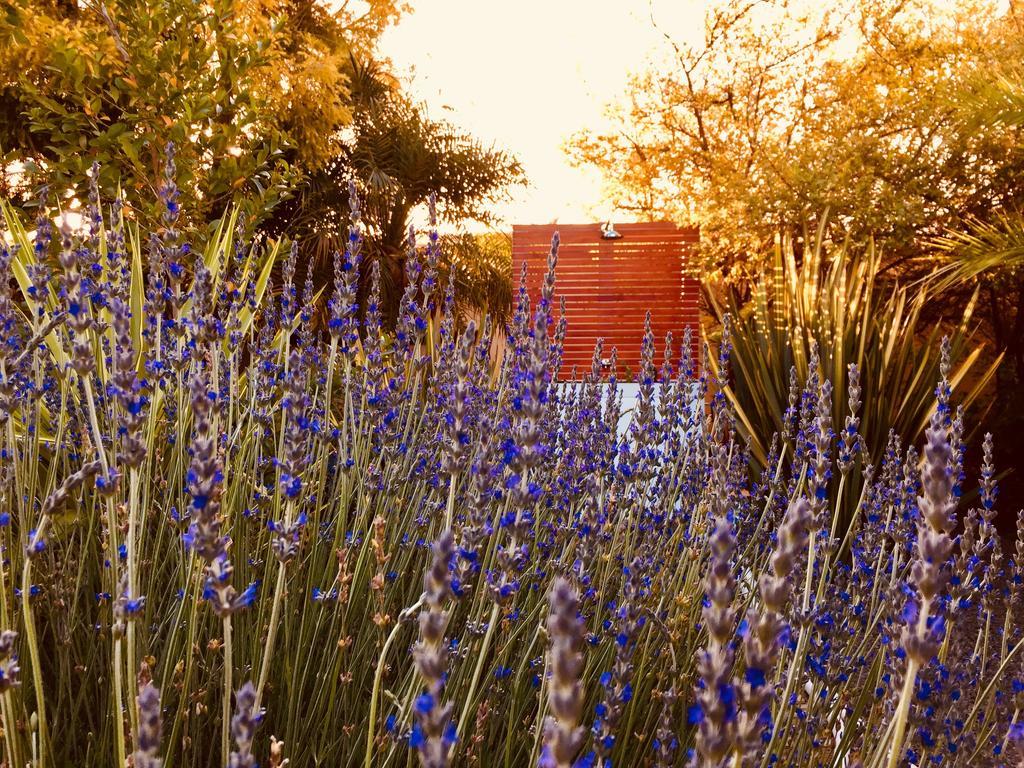 Pictures Guest House Boutique Hotel Oudtshoorn Ngoại thất bức ảnh